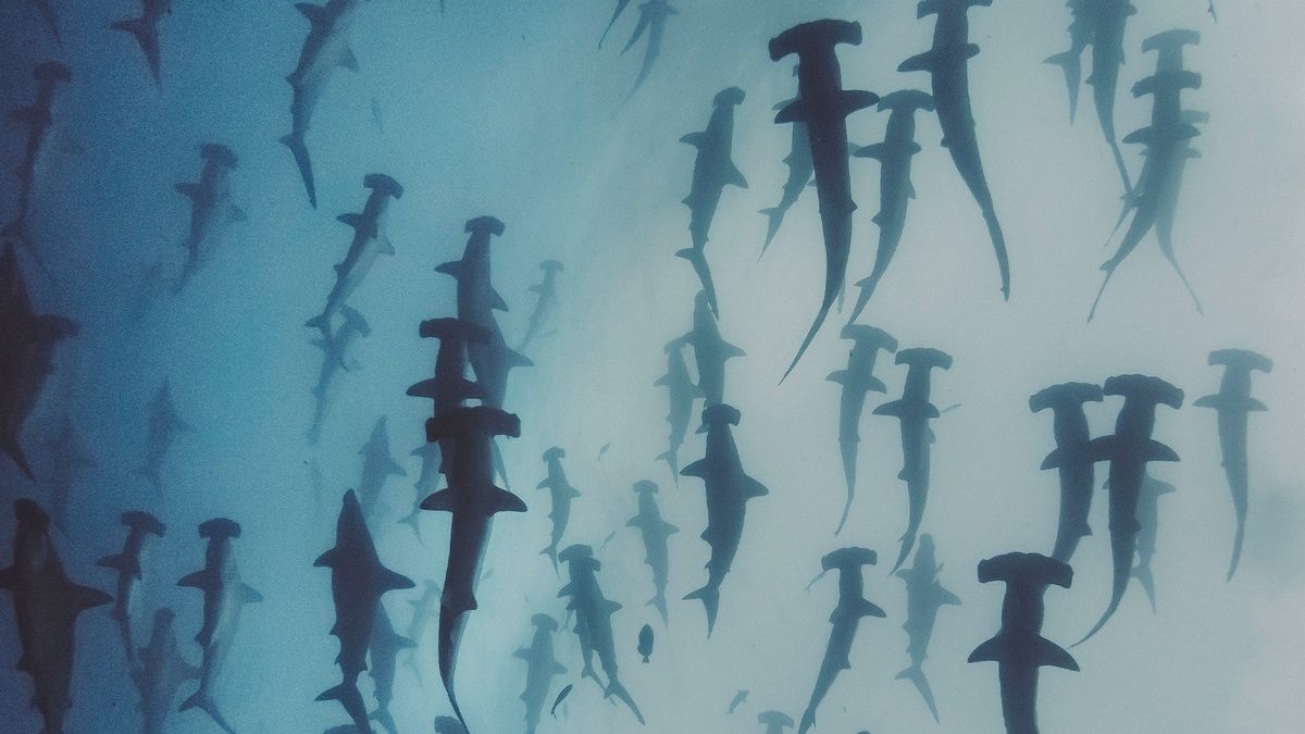 Nature's Strangest Mysteries: Solved