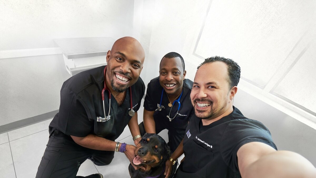 The Vet Life: Texas-Sized