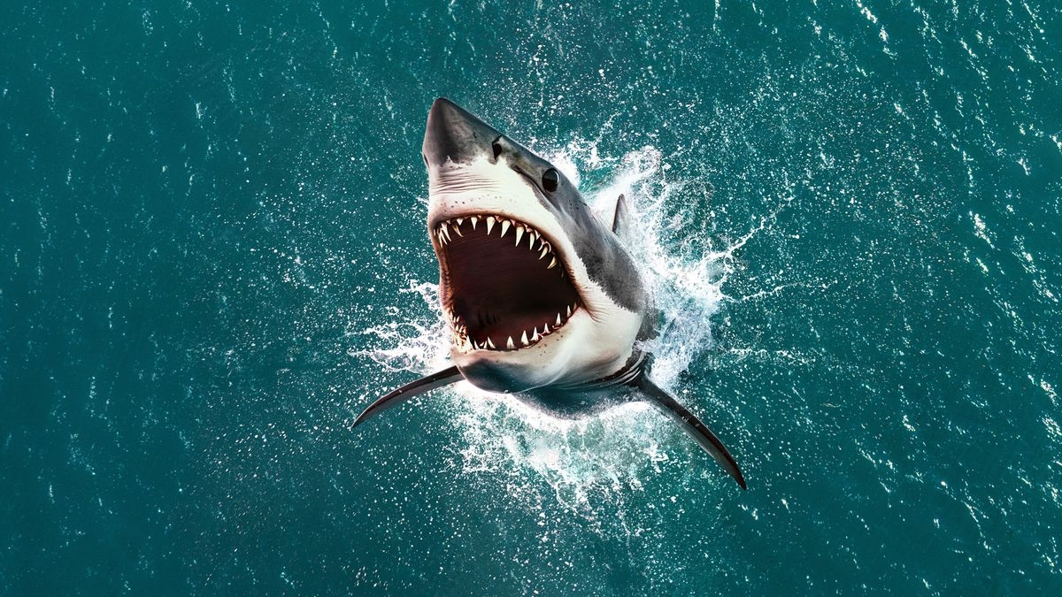 Air Jaws: The Hunt for Colossus