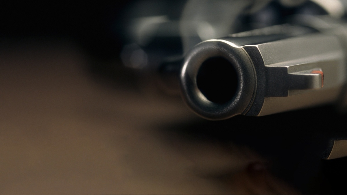The Perfect Murder