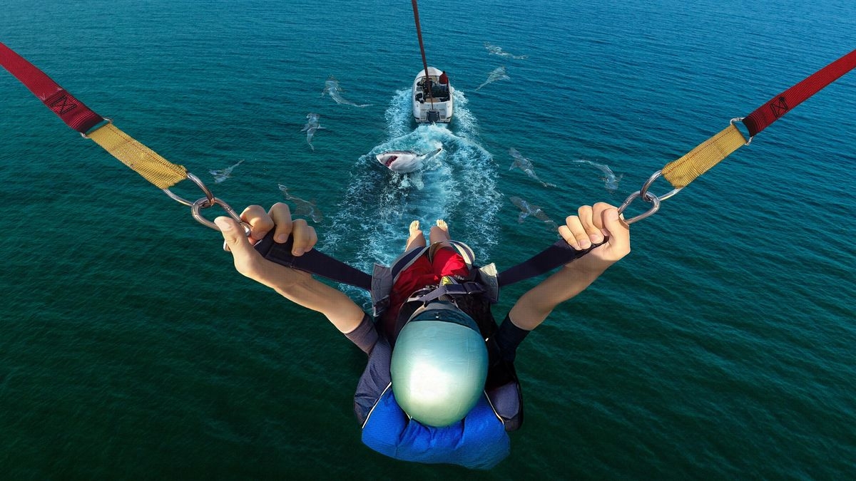 Caught! Sharks Strike Back