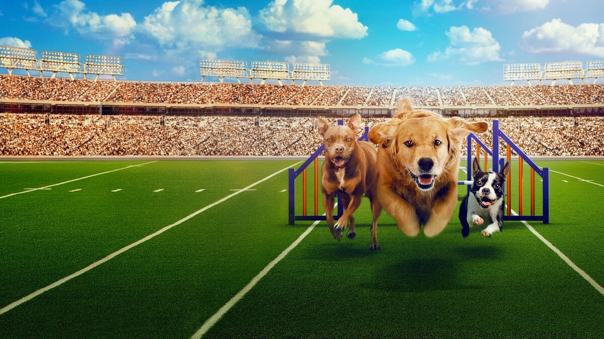 Puppy Bowl XVII Presents: Best in Show