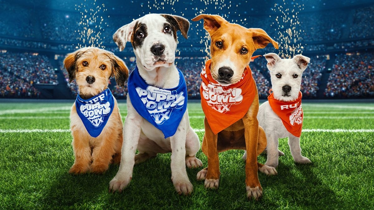 Puppy Bowl Pregame Show