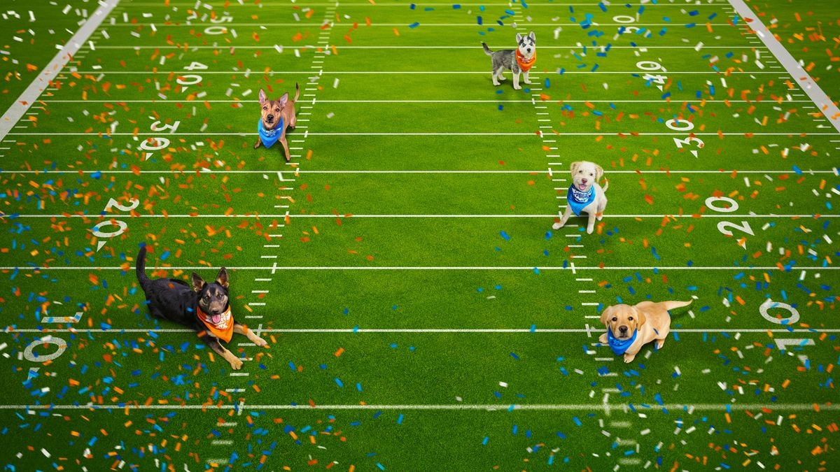 Puppy Bowl Presents: 20 Years of Puppies
