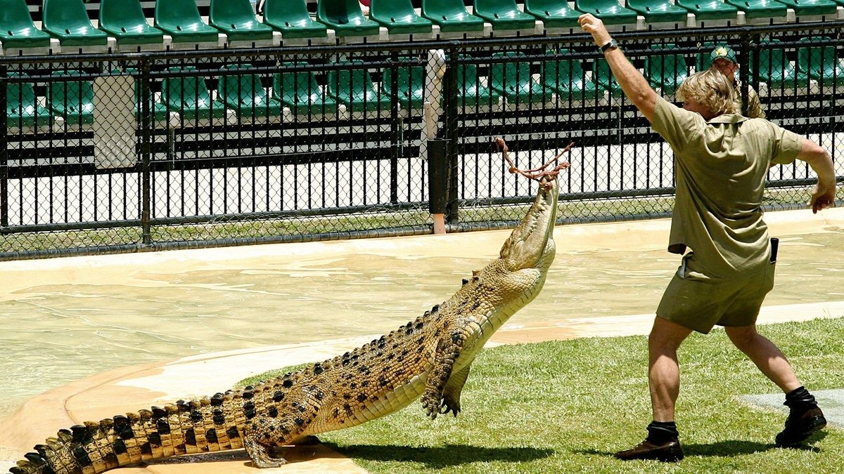 The Crocodile Hunter Diaries