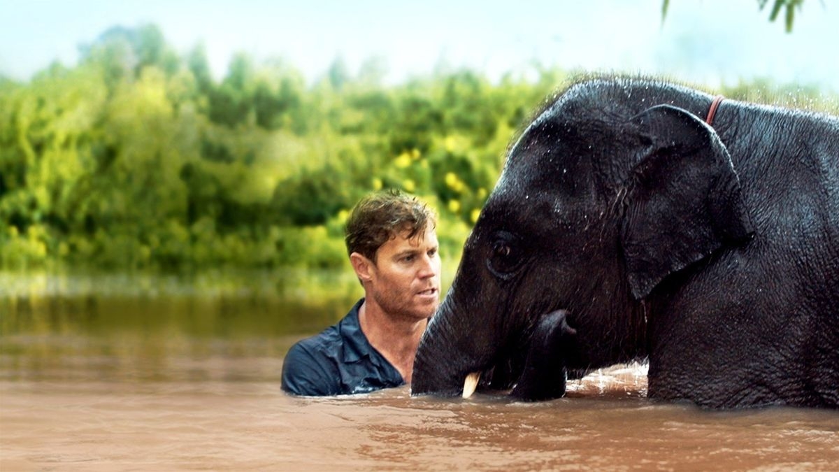 Vet Gone Wild: Global Rescue