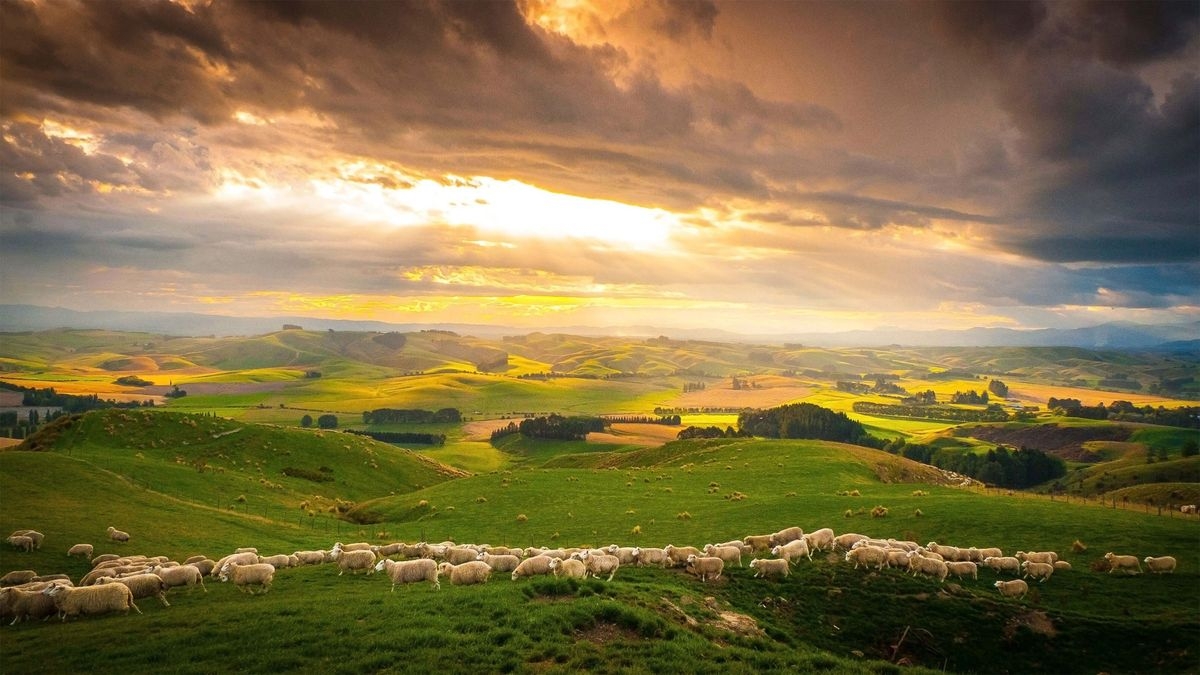 New Zealand: Welcome and Wonder